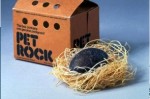 picture of Pet Rock